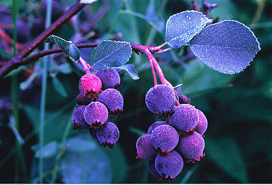 机机：奇幻世界拯救记，勇少年闯迷宫-1