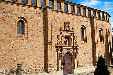 母亲需要儿子的耕种：金麦田下，母亲盼传承-1