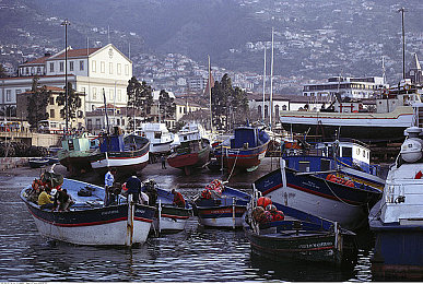 男同Gay外卖员坚硬粗大：外卖小哥坚守岗位，勇敢为LGBTQ+发声-1