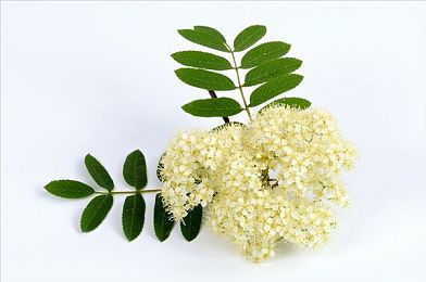 海角hai2406c54.tpo:科技盛宴:揭秘海角研讨盛况-3