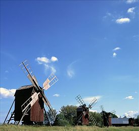 爱情岛vip永久入口图片：社交新升级，图片盛宴来袭-1