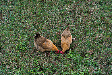 网站你应该知道我说的意思吗：游戏宝藏盘点：揭秘热门游戏网站-1