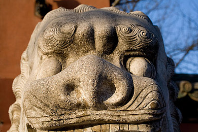 砍人血腥网站入口:网络清朗,青少年护航-2