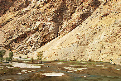 wwxx日本：日本魅力全球绽放，揭秘东方奇迹