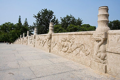 杀头血腥网站黑网入口：黑网惊悚侦探，沉浸体验等你来！-2