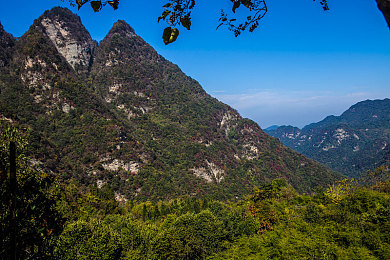 中国女明星囗交:明星囗交技巧引发争议,娱乐圈现状引人深思-3