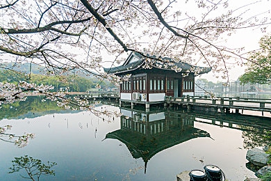 甘雨乳液狂飙网站：天然秘籍，肌肤焕新，乳液大揭秘-2