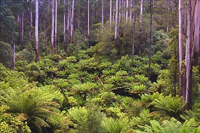 99这里有精品：游戏盛宴来袭，99平台新游戏引狂潮-1