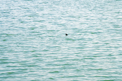 一百款流氓软件：百款恶意软件揭秘，教你轻松防范！-3