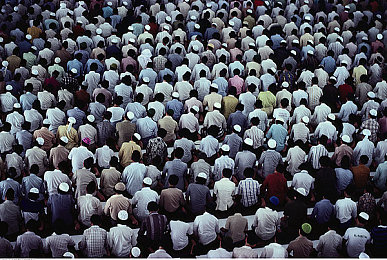 娘在狗儿的后背上写字:母爱笔尖,狗狗背上的温馨印记-1