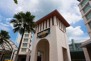 手脚绑上拿刷子刷尿道孔：宠物主新招清洁宠物尿道引热议