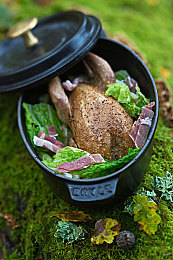 成人男人露jiji网站自慰：网络色情乱象：揭秘成人自慰网站风波-1