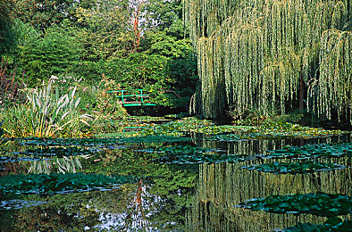 99热这里只有精品18：独家精品，99热引领潮流