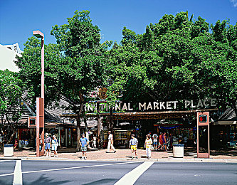 天天做天天爱综合网：探秘“天天做天天爱”：揭秘热门生活服务平台-3