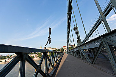 男同网站：同性恋网站：挑战与机遇并存-1