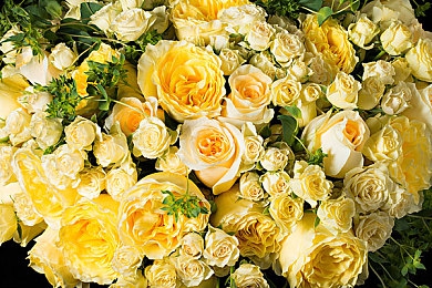 xfb88.xyf幸福宝解锁版：解锁生活新便捷，幸福宝新版本来袭-2