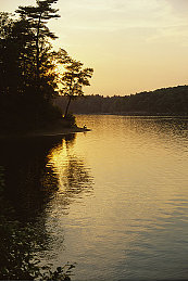 chinese男军警自慰A片:军警自慰A片谣言真相曝光,揭秘背后真相-1