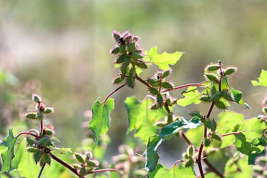 亚洲女毛多水多:亚洲魅力揭秘:肌肤弹润的秘密-2