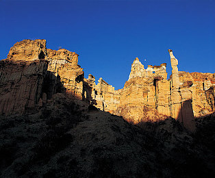 海角天涯绿意盎然妈妈:偏僻农村母爱筑梦,绿意盎然家训传承-1