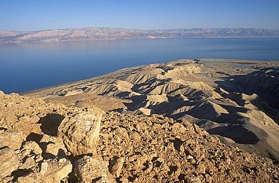 性一交一配一交一添：奇幻世界探险，独特交配玩法，游戏新体验-1