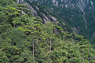 国产寡妇亲子伦一区二区三区：家庭困境中，母爱如何守护成长？-2