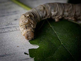 72x7cc最新版本更新内容：软件升级大放异彩，72x7cc全新体验！