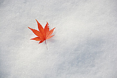 性裸交     游戏：游戏新潮流，探索未知界限-1