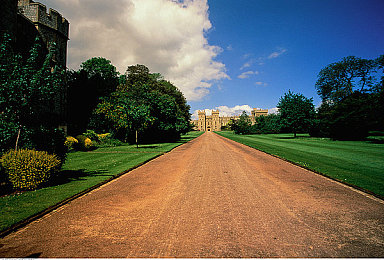 丫头肥嫩小缝馒头：美食冒险之旅，烹饪大师等你来挑战-2