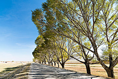 小黄站：“小黄站：一站式服务，网罗生活精彩”-2