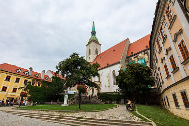 色情 视频网站入口:网络净化行动:揭秘“色情视频”黑幕-3