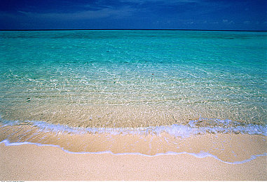 爽 好大 快 深一触手动漫:探秘爆款动漫,爽快剧情深挖人性-2