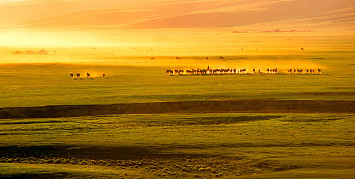 72x7cc照片大全：图片盛宴来袭，72x7cc应用揭秘！-1