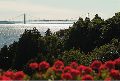 你懂的网：揭秘：爆款资讯网站，用户好评如潮-4