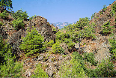 女人被添全过程A片添：网络暴力惊心，女性权益谁来守护？-2