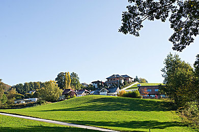 张丽被黑人玩的嗷嗷叫：跨文化尴尬，微笑背后有故事-2