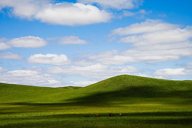 爱情岛vip永久入口图片：社交新升级，图片盛宴来袭-4