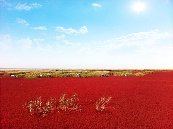 醉酒chin东北壮男Gay野外：东北风情冒险，神秘世界等你探险-2
