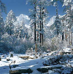 坏人用羽毛刷小姑娘的脚底心：恶行惊心，10岁女孩遭遇不测-2