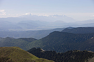 大号BBWBBWBBwBBW：创新游戏横空出世，独特玩法引关注-1