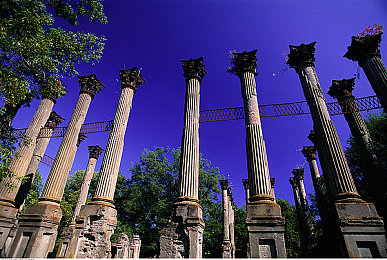 天堂中文资源库:《天堂》新资源库上线,攻略、教程一网打尽-3