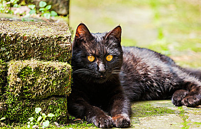 两个武警官兵裸体互摸裤裆：军中丑闻：裸摸事件震惊公众-4