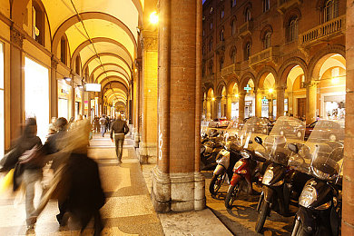 绿巨人污秋葵草莓黄瓜荔枝丝：秋葵草莓黄瓜荔枝丝，新品农业盛宴来袭-1