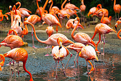 五月天婷婷丁香：天后联手，音乐盛宴来袭-3