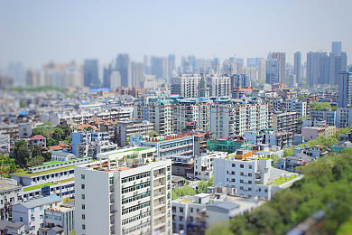 原始生活21天消码版本：21天回归自然，揭秘健康生活新方式-1