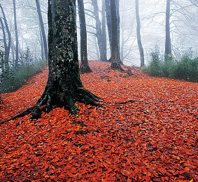 学院时间暂停：游戏大停机，新内容狂欢来袭！-2