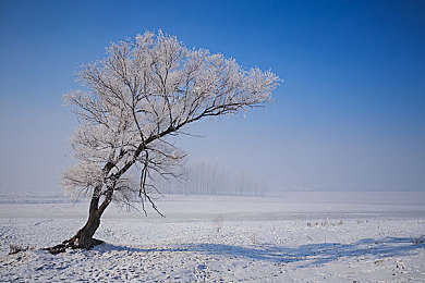 每日大赛 反差大赛 骑乘：游戏新风尚，反差萌大赛来袭-1