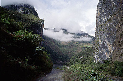 儿媳周莹回乡扫墓：孝心儿媳回乡祭祖，传承家族美德