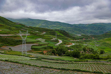 四川BBB桑BBB桑BBB：家居新贵崛起，环保家居领航者-1