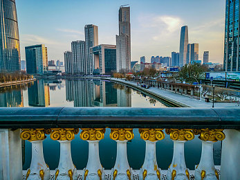 狗儿在娘的叫声中：失散重逢，亲情之旅等你体验-3