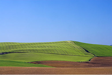 平冈里枝子照顾废物儿子：母爱如歌，平凡母亲谱写感人亲情篇章-3